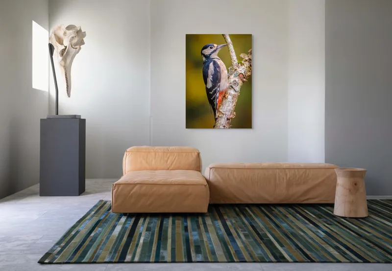 Tablou Canvas, "Ciocănitoarea pe trunchi de copac", Pene, Culori, Cioc, Pădure, Copac, Natură, Rățușcă, Privește, 70 x 100 cm – poza 7