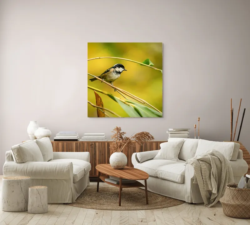 Tablou Canvas, "O lume văzută prin ochii păsării", Pitic, Frunziș, Ramură, Penaj, Verde, Natură, Echilibru, Mic, Grațios, Păsărelă, 100 x 100 cm – poza 3