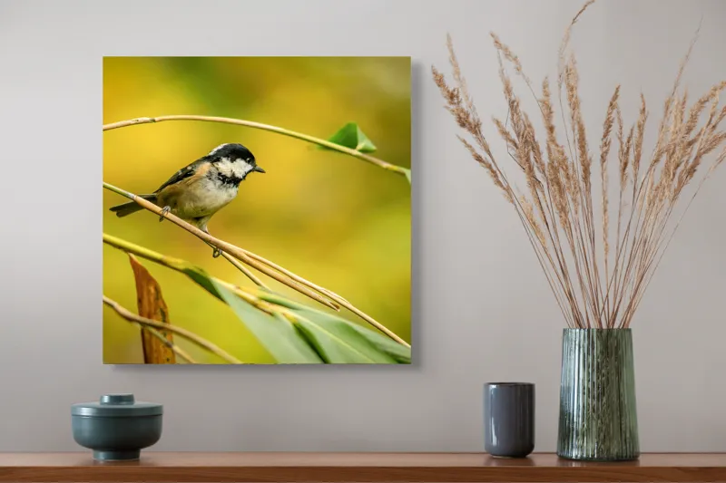 Tablou Canvas, "O lume văzută prin ochii păsării", Pitic, Frunziș, Ramură, Penaj, Verde, Natură, Echilibru, Mic, Grațios, Păsărelă, 50 x 50 cm – poza 4