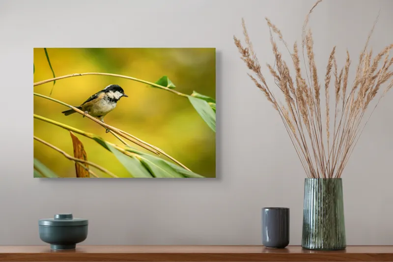 Tablou Canvas, "O lume văzută prin ochii păsării", Pitic, Frunziș, Ramură, Penaj, Verde, Natură, Echilibru, Mic, Grațios, Păsărelă, 54 x 39 cm – poza 4