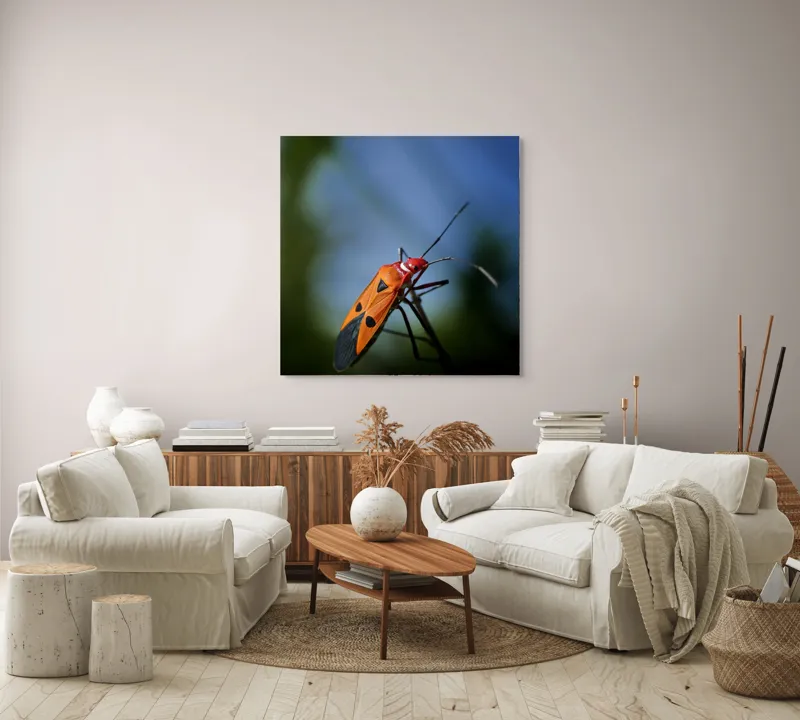Tablou Canvas, "Gângania pe o creangă subțire", Clar, Contrast, Culoare, Detalii, Naturalețe, Lumină, Perspective, Formă, Textură., 100 x 100 cm – poza 3