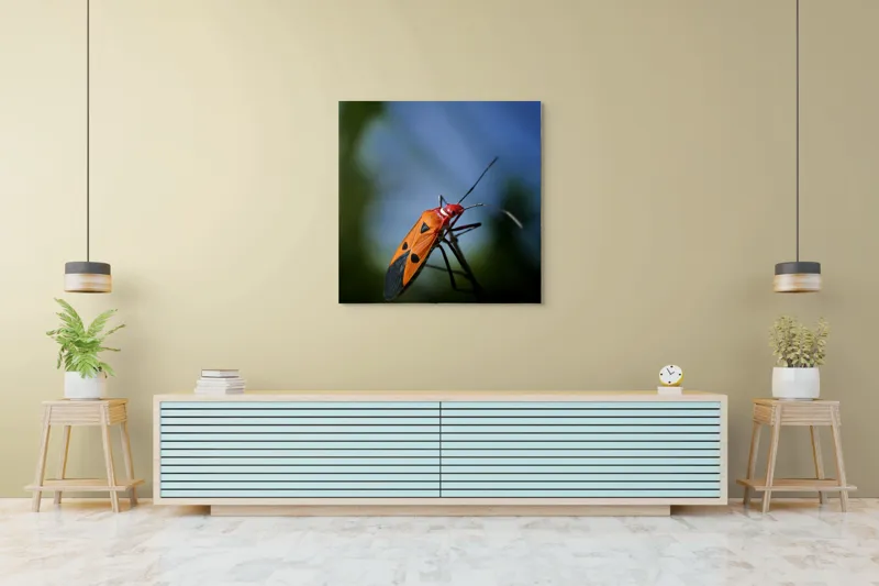 Tablou Canvas, "Gângania pe o creangă subțire", Clar, Contrast, Culoare, Detalii, Naturalețe, Lumină, Perspective, Formă, Textură., 100 x 100 cm – poza 5