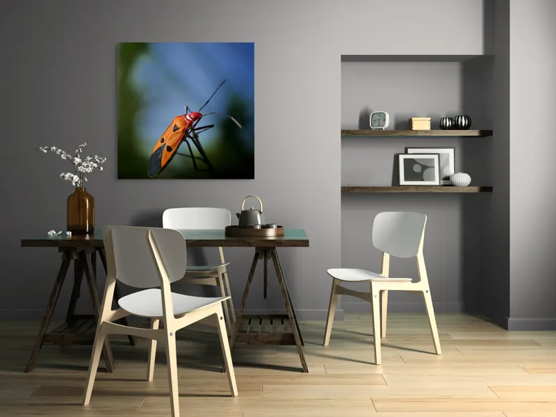 Tablou Canvas, "Gângania pe o creangă subțire", Clar, Contrast, Culoare, Detalii, Naturalețe, Lumină, Perspective, Formă, Textură., 100 x 100 cm – poza 6