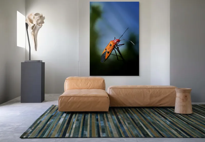 Tablou Canvas, "Gângania pe o creangă subțire", Clar, Contrast, Culoare, Detalii, Naturalețe, Lumină, Perspective, Formă, Textură., 100 x 150 cm – poza 7