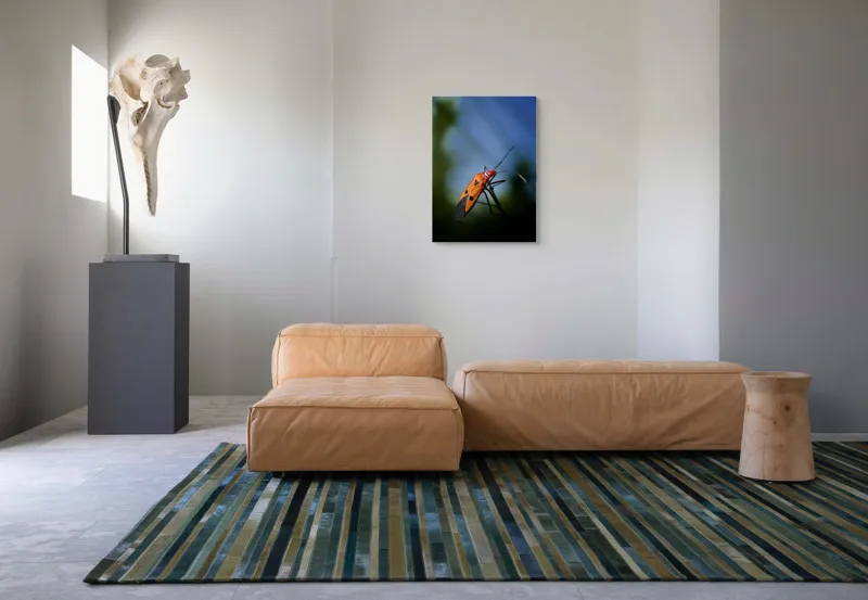 Tablou Canvas, "Gângania pe o creangă subțire", Clar, Contrast, Culoare, Detalii, Naturalețe, Lumină, Perspective, Formă, Textură., 50 x 70 cm – poza 7