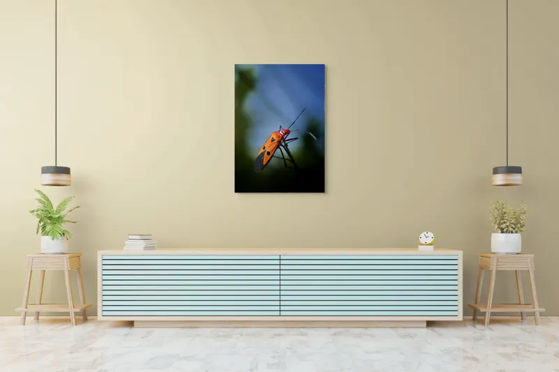 Tablou Canvas, "Gângania pe o creangă subțire", Clar, Contrast, Culoare, Detalii, Naturalețe, Lumină, Perspective, Formă, Textură., 70 x 100 cm – poza 5