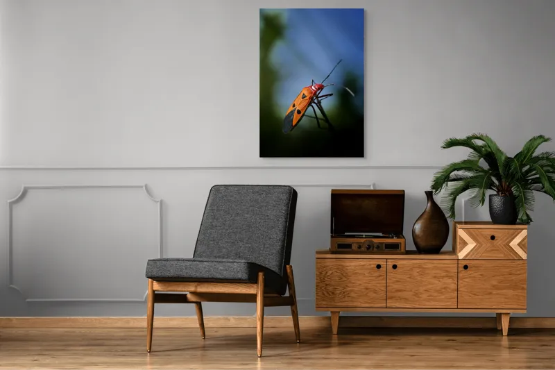 Tablou Canvas, "Gângania pe o creangă subțire", Clar, Contrast, Culoare, Detalii, Naturalețe, Lumină, Perspective, Formă, Textură., 70 x 100 cm – poza 6