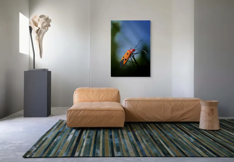Tablou Canvas, "Gângania pe o creangă subțire", Clar, Contrast, Culoare, Detalii, Naturalețe, Lumină, Perspective, Formă, Textură., 70 x 100 cm – poza 7