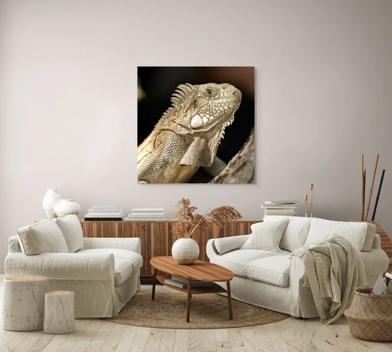 Tablou Canvas, "Iguana contemplând apusul pe ramură", 100 x 100 cm – poza 3