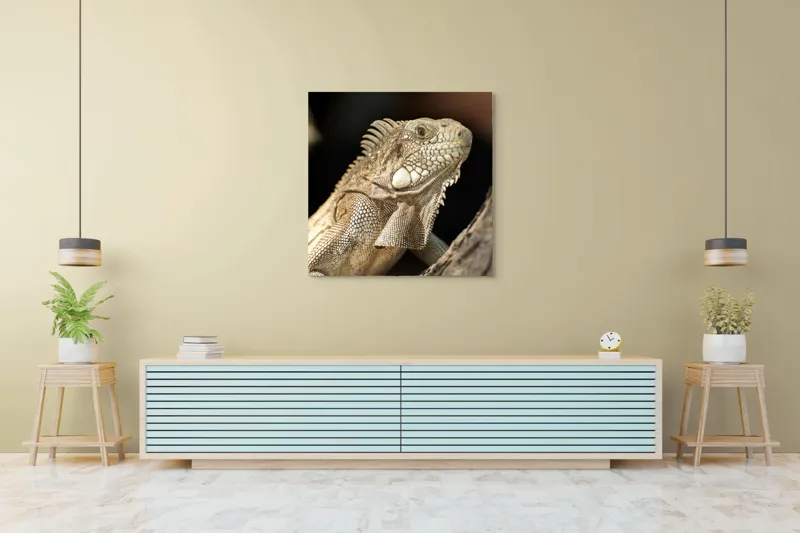 Tablou Canvas, "Iguana contemplând apusul pe ramură", 100 x 100 cm – poza 5