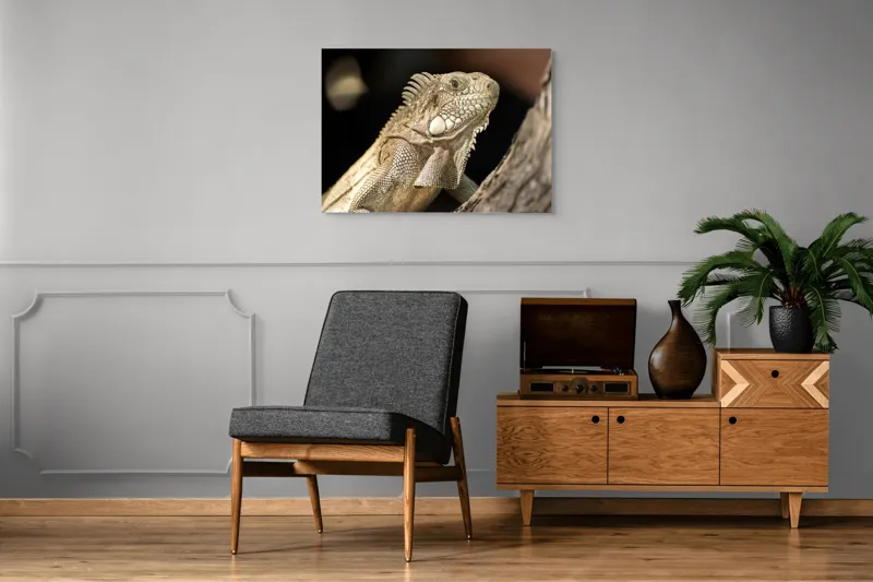 Tablou Canvas, "Iguana contemplând apusul pe ramură", 100 x 70 cm – poza 8