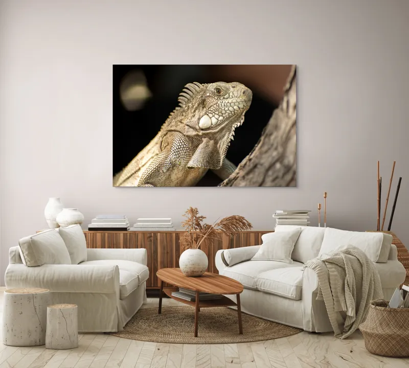Tablou Canvas, "Iguana contemplând apusul pe ramură", 150 x 100 cm – poza 3