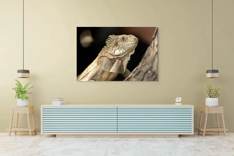 Tablou Canvas, "Iguana contemplând apusul pe ramură", 150 x 100 cm – poza 6