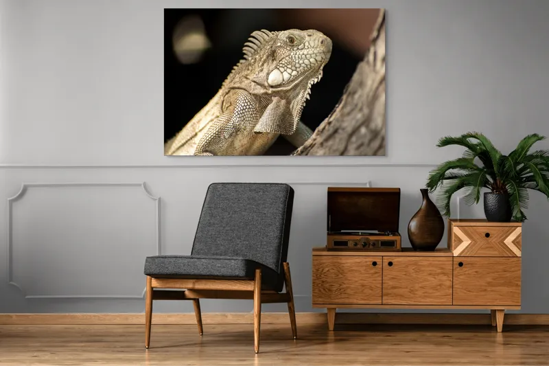 Tablou Canvas, "Iguana contemplând apusul pe ramură", 150 x 100 cm – poza 8