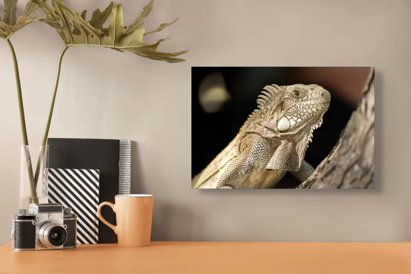 Tablou Canvas, "Iguana contemplând apusul pe ramură", 39 x 26 cm – poza 3
