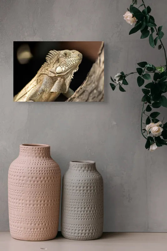 Tablou Canvas, "Iguana contemplând apusul pe ramură", 39 x 26 cm – poza 4