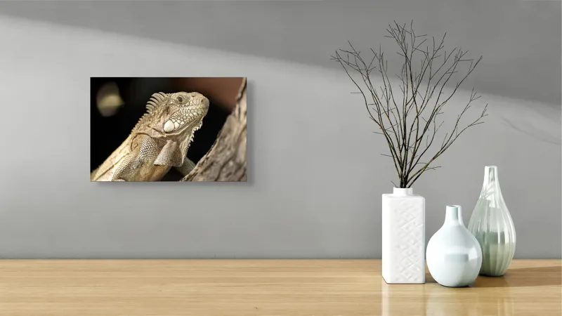 Tablou Canvas, "Iguana contemplând apusul pe ramură", 39 x 26 cm – poza 8