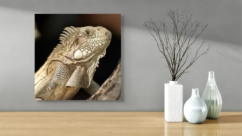Tablou Canvas, "Iguana contemplând apusul pe ramură", 50 x 50 cm – poza 3