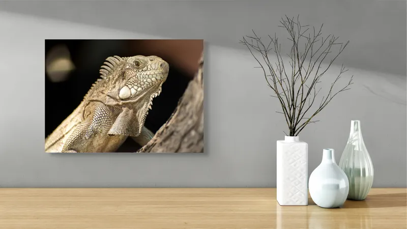 Tablou Canvas, "Iguana contemplând apusul pe ramură", 54 x 39 cm – poza 3