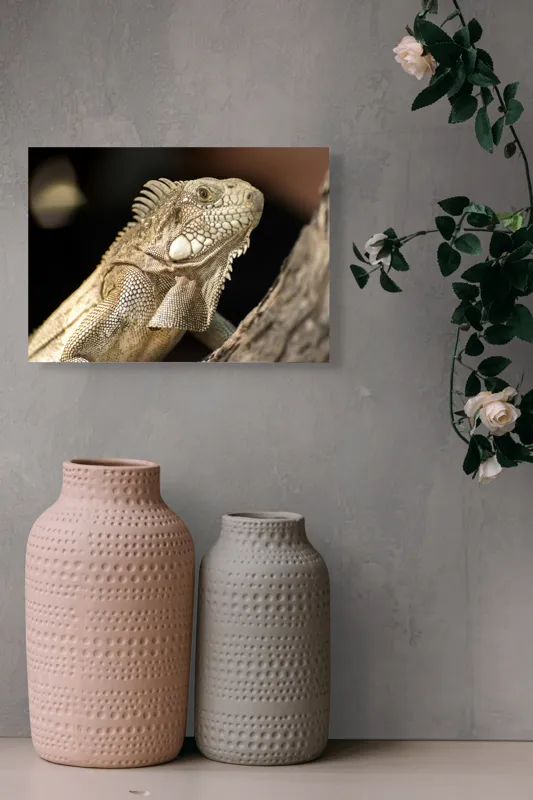 Tablou Canvas, "Iguana contemplând apusul pe ramură", 54 x 39 cm – poza 8