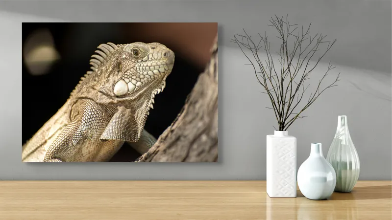 Tablou Canvas, "Iguana contemplând apusul pe ramură", 70 x 50 cm – poza 3