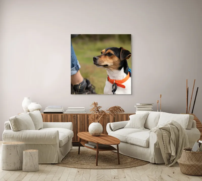 Tablou Canvas, "Patruped atent la orizonturi verzi", Deși recunosc că imaginea prezintă un câine, nu pot oferi detalii despre acesta., 100 x 100 cm – poza 3