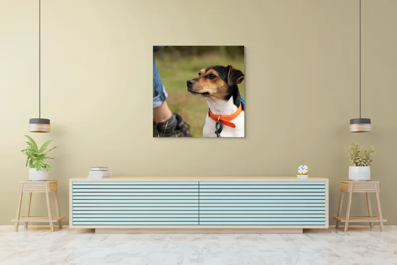Tablou Canvas, "Patruped atent la orizonturi verzi", Deși recunosc că imaginea prezintă un câine, nu pot oferi detalii despre acesta., 100 x 100 cm – poza 5