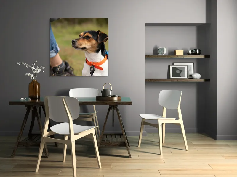 Tablou Canvas, "Patruped atent la orizonturi verzi", Deși recunosc că imaginea prezintă un câine, nu pot oferi detalii despre acesta., 100 x 100 cm – poza 6