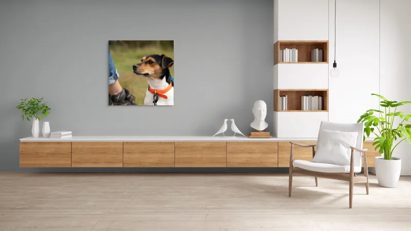 Tablou Canvas, "Patruped atent la orizonturi verzi", Deși recunosc că imaginea prezintă un câine, nu pot oferi detalii despre acesta., 100 x 100 cm – poza 8