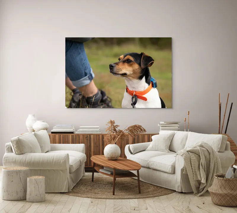 Tablou Canvas, "Patruped atent la orizonturi verzi", Deși recunosc că imaginea prezintă un câine, nu pot oferi detalii despre acesta., 150 x 100 cm – poza 3