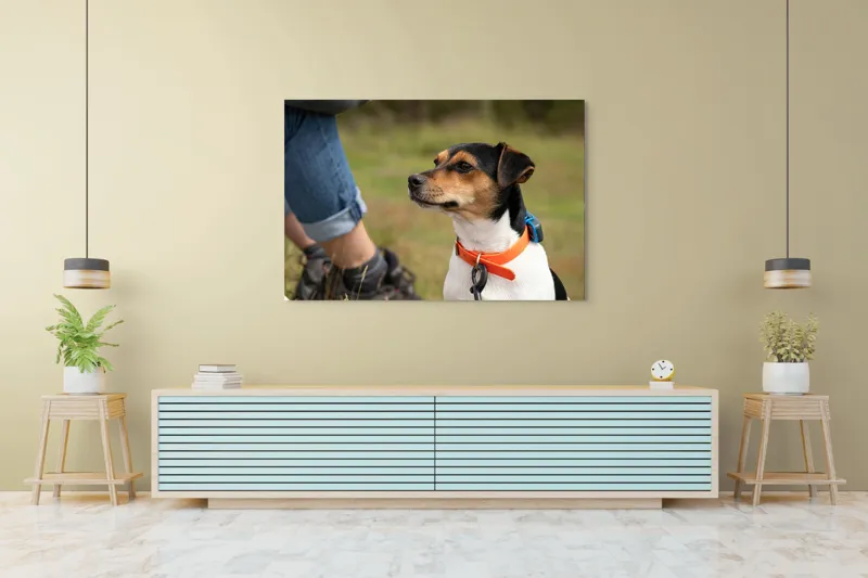 Tablou Canvas, "Patruped atent la orizonturi verzi", Deși recunosc că imaginea prezintă un câine, nu pot oferi detalii despre acesta., 150 x 100 cm – poza 6