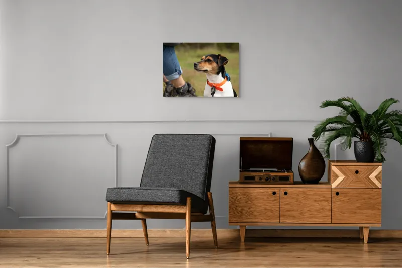 Tablou Canvas, "Patruped atent la orizonturi verzi", Deși recunosc că imaginea prezintă un câine, nu pot oferi detalii despre acesta., 70 x 50 cm – poza 4
