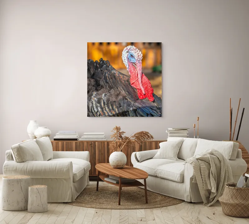 Tablou Canvas, "Curcanul în splendoarea toamnei", Curcan, Penaj, Roșu, Textură, Zburlit, Natură, Contrast, Detaliu, Viu, Berbece., 100 x 100 cm – poza 3