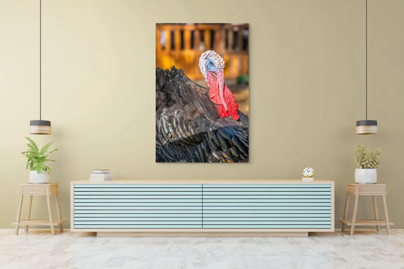 Tablou Canvas, "Curcanul în splendoarea toamnei", Curcan, Penaj, Roșu, Textură, Zburlit, Natură, Contrast, Detaliu, Viu, Berbece., 100 x 150 cm – poza 4
