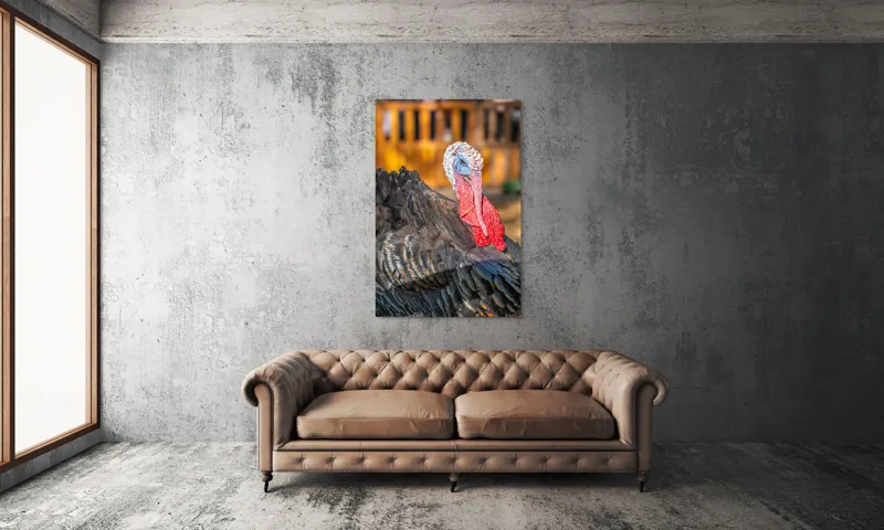 Tablou Canvas, "Curcanul în splendoarea toamnei", Curcan, Penaj, Roșu, Textură, Zburlit, Natură, Contrast, Detaliu, Viu, Berbece., 100 x 150 cm – poza 6