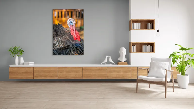 Tablou Canvas, "Curcanul în splendoarea toamnei", Curcan, Penaj, Roșu, Textură, Zburlit, Natură, Contrast, Detaliu, Viu, Berbece., 100 x 150 cm – poza 8