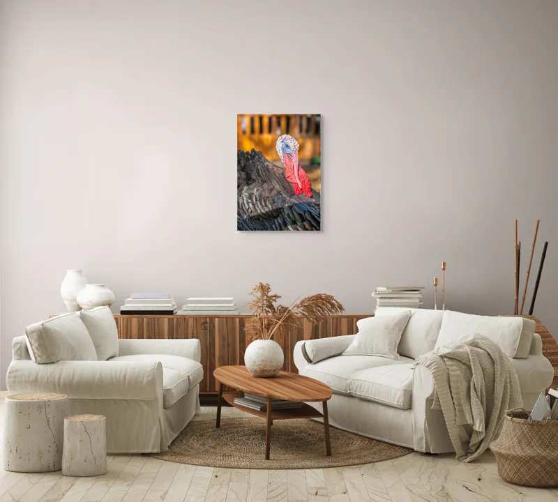 Tablou Canvas, "Curcanul în splendoarea toamnei", Curcan, Penaj, Roșu, Textură, Zburlit, Natură, Contrast, Detaliu, Viu, Berbece., 50 x 70 cm – poza 4