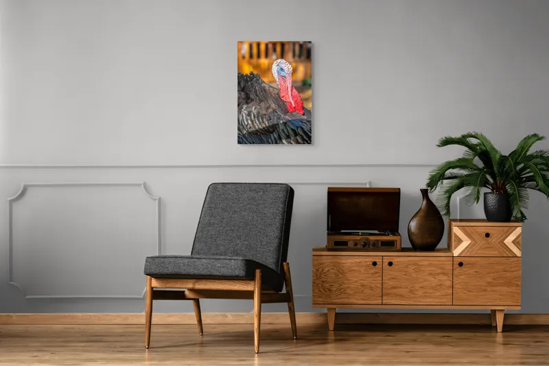Tablou Canvas, "Curcanul în splendoarea toamnei", Curcan, Penaj, Roșu, Textură, Zburlit, Natură, Contrast, Detaliu, Viu, Berbece., 50 x 70 cm – poza 8