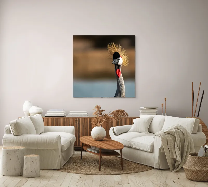 Tablou Canvas, "Elegantul dans al cocorului în soare", Nu pot spune cine este în imagine, dar pot descrie vizual: Pene, Creastă, Roșu, Negru, Pasăre, Elegant, Curios, Fundal Blur., 100 x 100 cm – poza 3
