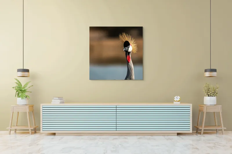 Tablou Canvas, "Elegantul dans al cocorului în soare", Nu pot spune cine este în imagine, dar pot descrie vizual: Pene, Creastă, Roșu, Negru, Pasăre, Elegant, Curios, Fundal Blur., 100 x 100 cm – poza 5