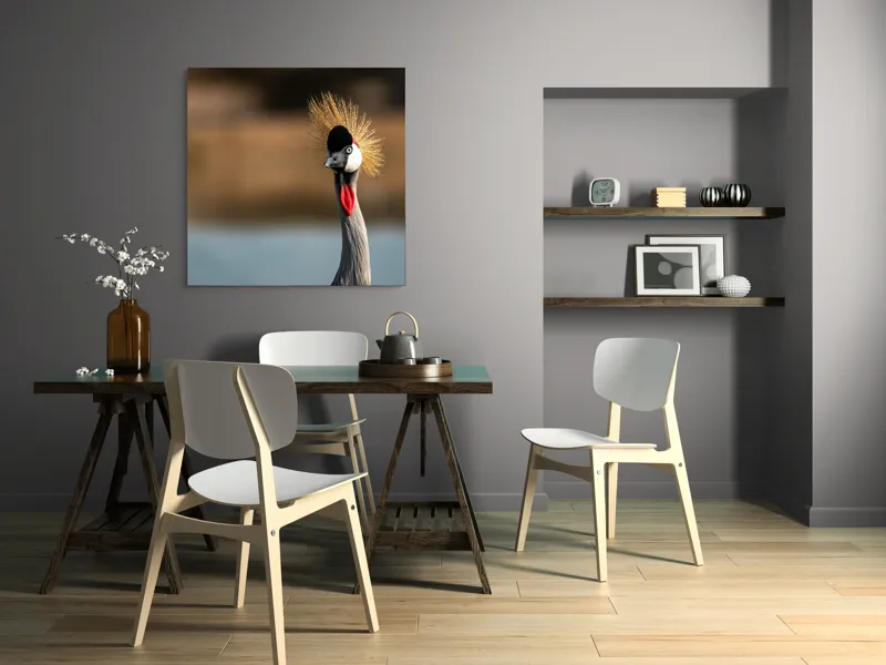 Tablou Canvas, "Elegantul dans al cocorului în soare", Nu pot spune cine este în imagine, dar pot descrie vizual: Pene, Creastă, Roșu, Negru, Pasăre, Elegant, Curios, Fundal Blur., 100 x 100 cm – poza 6