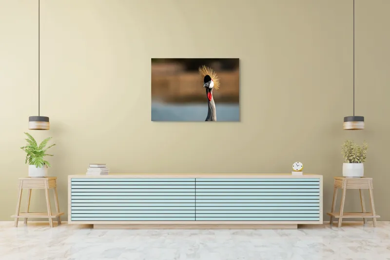 Tablou Canvas, "Elegantul dans al cocorului în soare", Nu pot spune cine este în imagine, dar pot descrie vizual: Pene, Creastă, Roșu, Negru, Pasăre, Elegant, Curios, Fundal Blur., 100 x 70 cm – poza 4