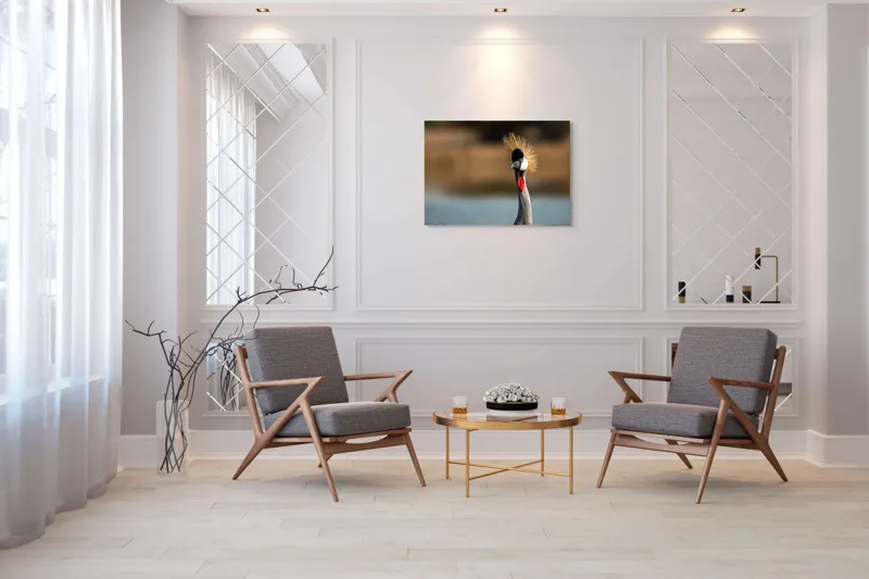 Tablou Canvas, "Elegantul dans al cocorului în soare", Nu pot spune cine este în imagine, dar pot descrie vizual: Pene, Creastă, Roșu, Negru, Pasăre, Elegant, Curios, Fundal Blur., 100 x 70 cm – poza 5