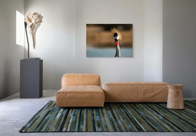Tablou Canvas, "Elegantul dans al cocorului în soare", Nu pot spune cine este în imagine, dar pot descrie vizual: Pene, Creastă, Roșu, Negru, Pasăre, Elegant, Curios, Fundal Blur., 100 x 70 cm – poza 7