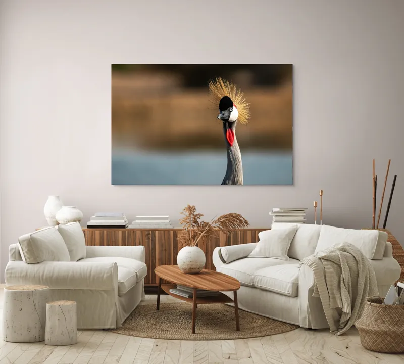 Tablou Canvas, "Elegantul dans al cocorului în soare", Nu pot spune cine este în imagine, dar pot descrie vizual: Pene, Creastă, Roșu, Negru, Pasăre, Elegant, Curios, Fundal Blur., 150 x 100 cm – poza 3