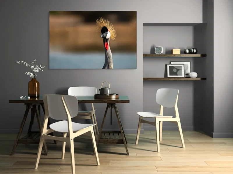 Tablou Canvas, "Elegantul dans al cocorului în soare", Nu pot spune cine este în imagine, dar pot descrie vizual: Pene, Creastă, Roșu, Negru, Pasăre, Elegant, Curios, Fundal Blur., 150 x 100 cm – poza 5