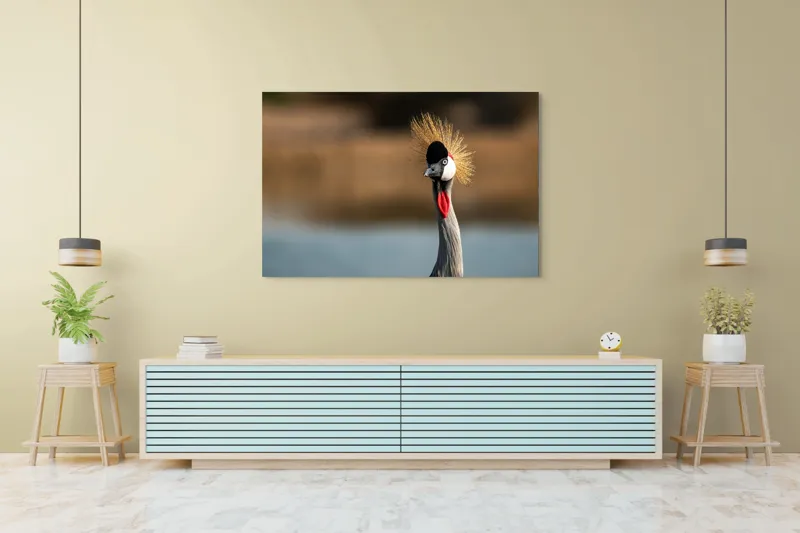 Tablou Canvas, "Elegantul dans al cocorului în soare", Nu pot spune cine este în imagine, dar pot descrie vizual: Pene, Creastă, Roșu, Negru, Pasăre, Elegant, Curios, Fundal Blur., 150 x 100 cm – poza 6