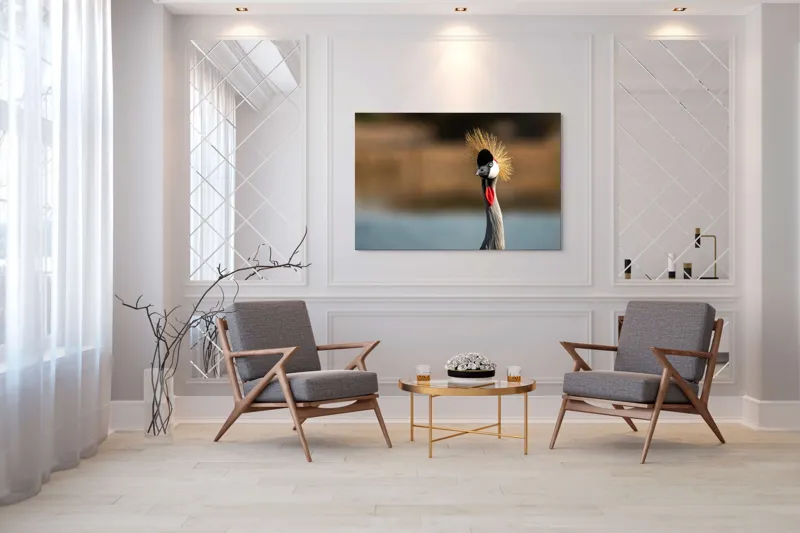 Tablou Canvas, "Elegantul dans al cocorului în soare", Nu pot spune cine este în imagine, dar pot descrie vizual: Pene, Creastă, Roșu, Negru, Pasăre, Elegant, Curios, Fundal Blur., 150 x 100 cm – poza 7