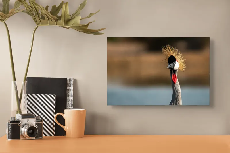 Tablou Canvas, "Elegantul dans al cocorului în soare", Nu pot spune cine este în imagine, dar pot descrie vizual: Pene, Creastă, Roșu, Negru, Pasăre, Elegant, Curios, Fundal Blur., 39 x 26 cm – poza 3