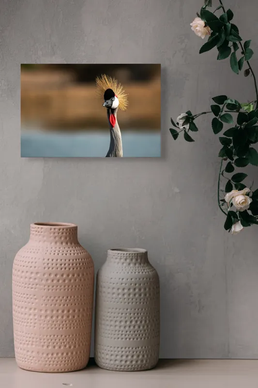 Tablou Canvas, "Elegantul dans al cocorului în soare", Nu pot spune cine este în imagine, dar pot descrie vizual: Pene, Creastă, Roșu, Negru, Pasăre, Elegant, Curios, Fundal Blur., 39 x 26 cm – poza 4
